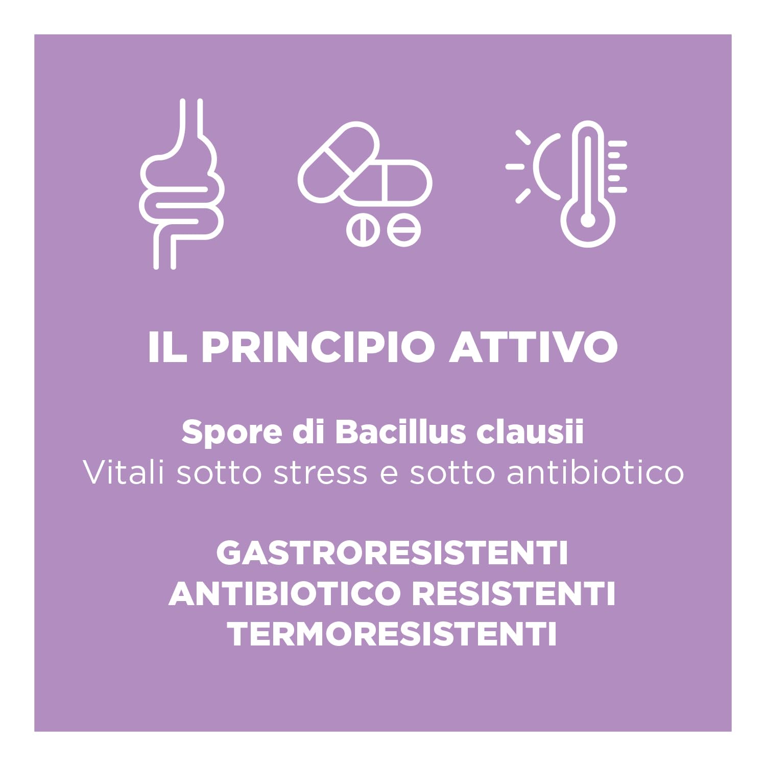 Chemist's Research Progermila 10 Miliardi Fermenti 2 Confezioni