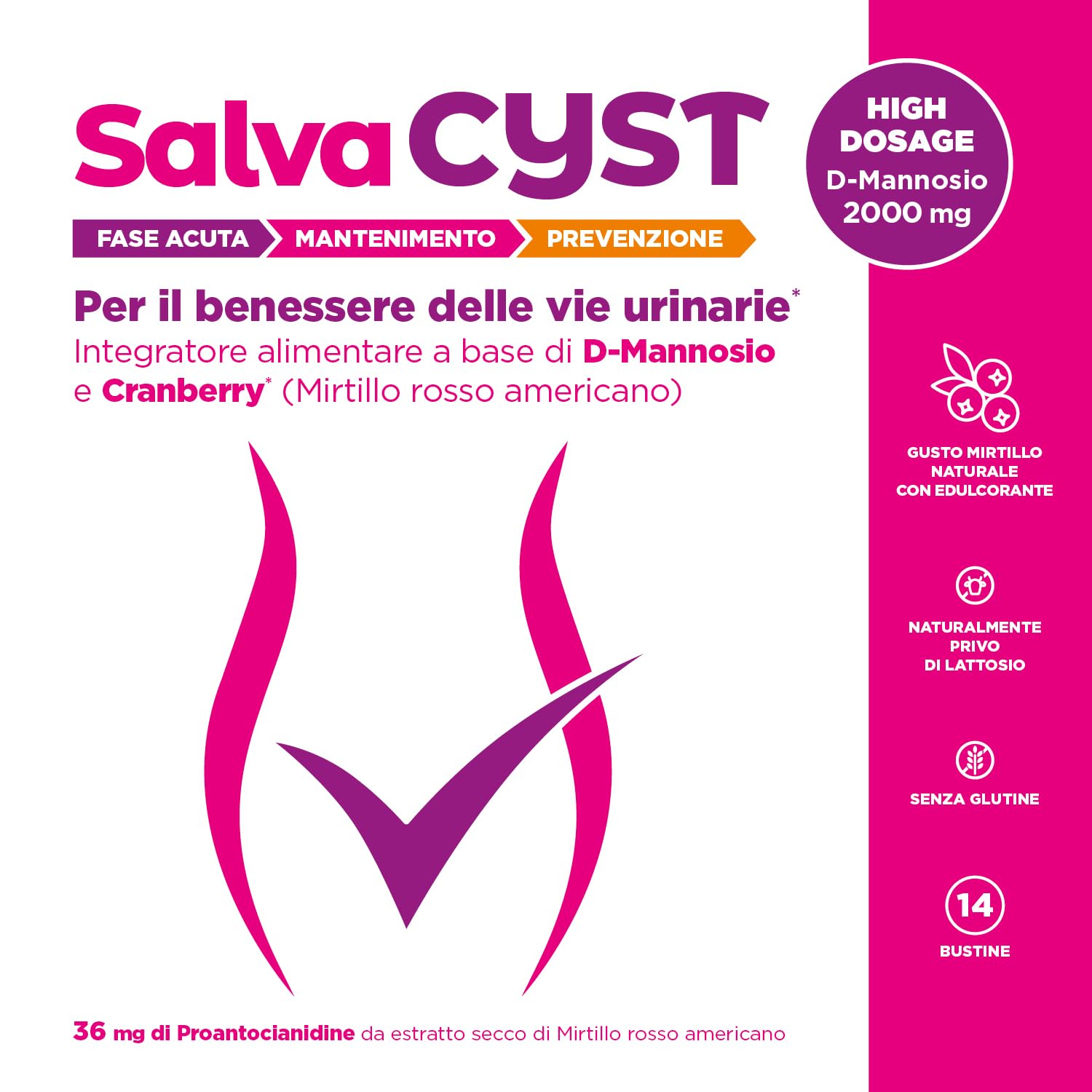 Chemist's Research Salvacyst 14 bustine mirtillo D-mannosio