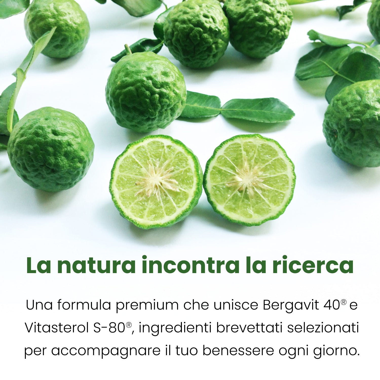 SIFAR NUTRA Bergacol integratore colesterolo 120 compresse 60 giorni